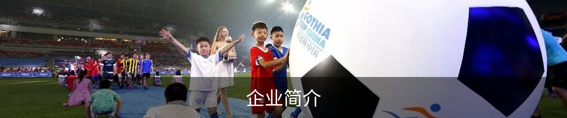 企业简介